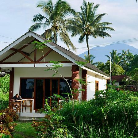 Rice Field Inn - Lombok Тетебату Экстерьер фото