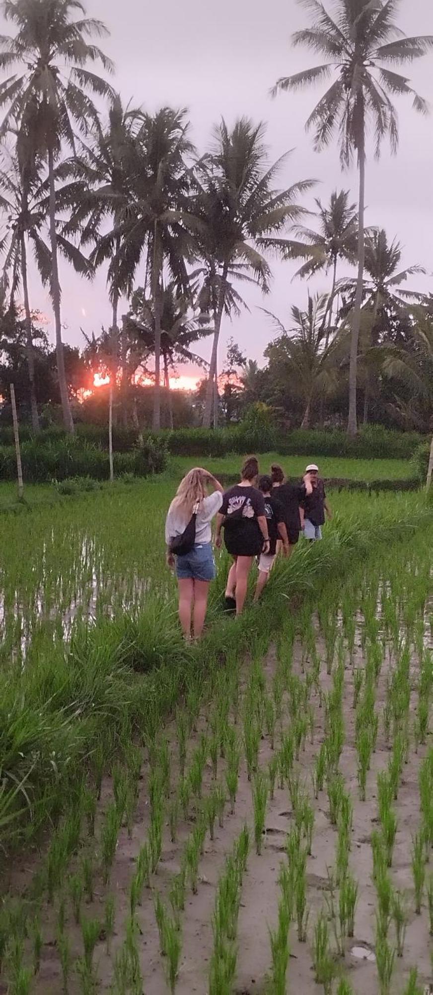 Rice Field Inn - Lombok Тетебату Экстерьер фото