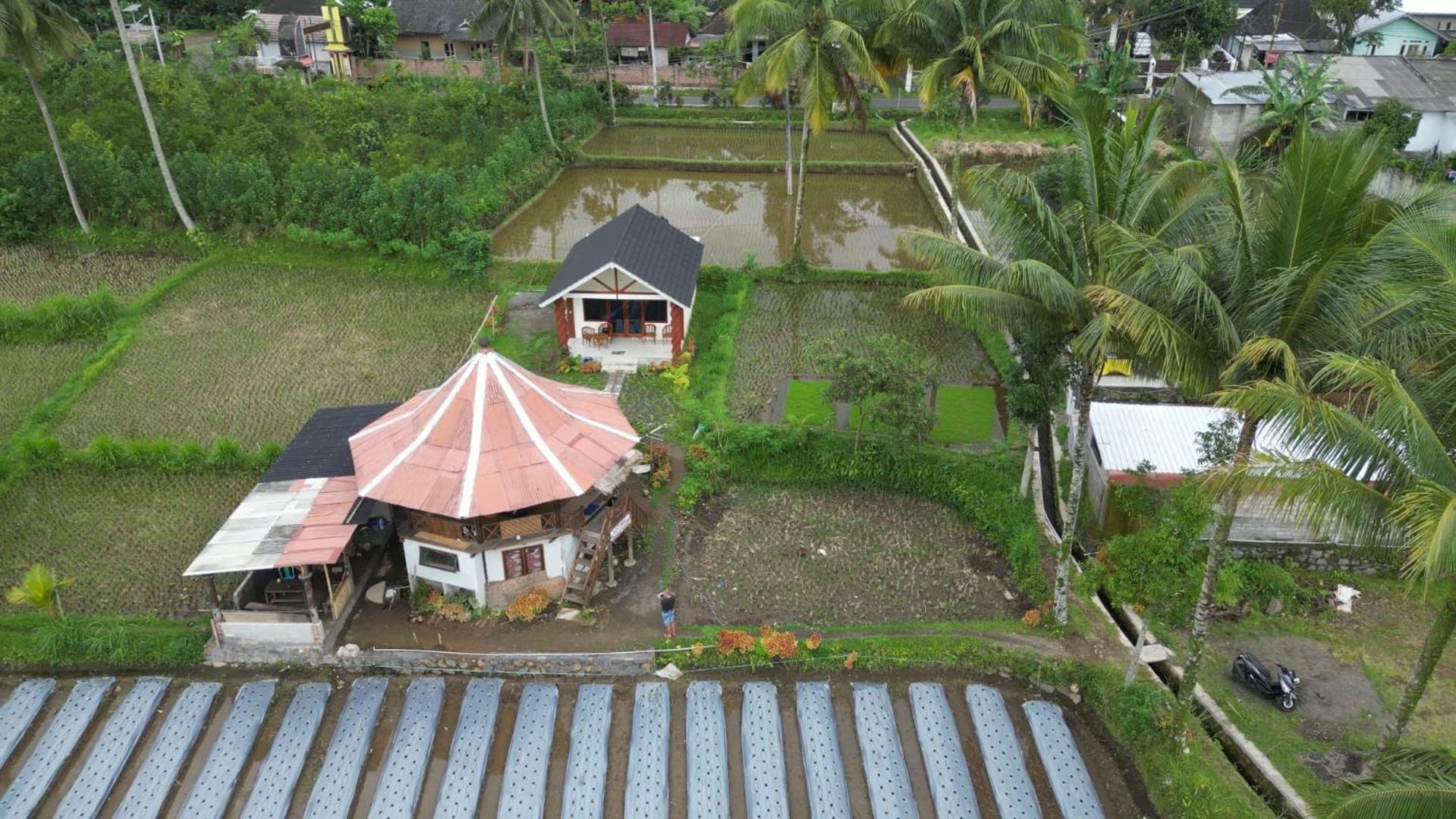 Rice Field Inn - Lombok Тетебату Экстерьер фото