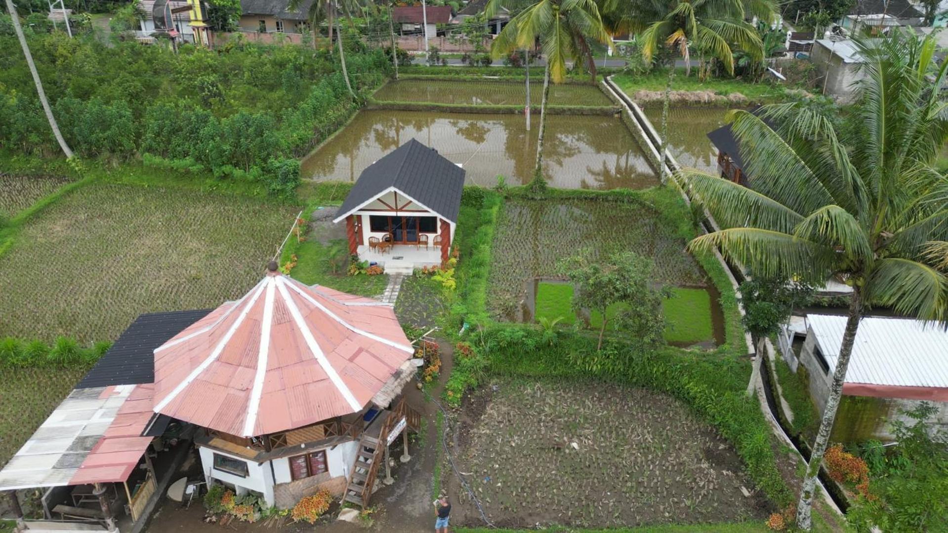 Rice Field Inn - Lombok Тетебату Экстерьер фото