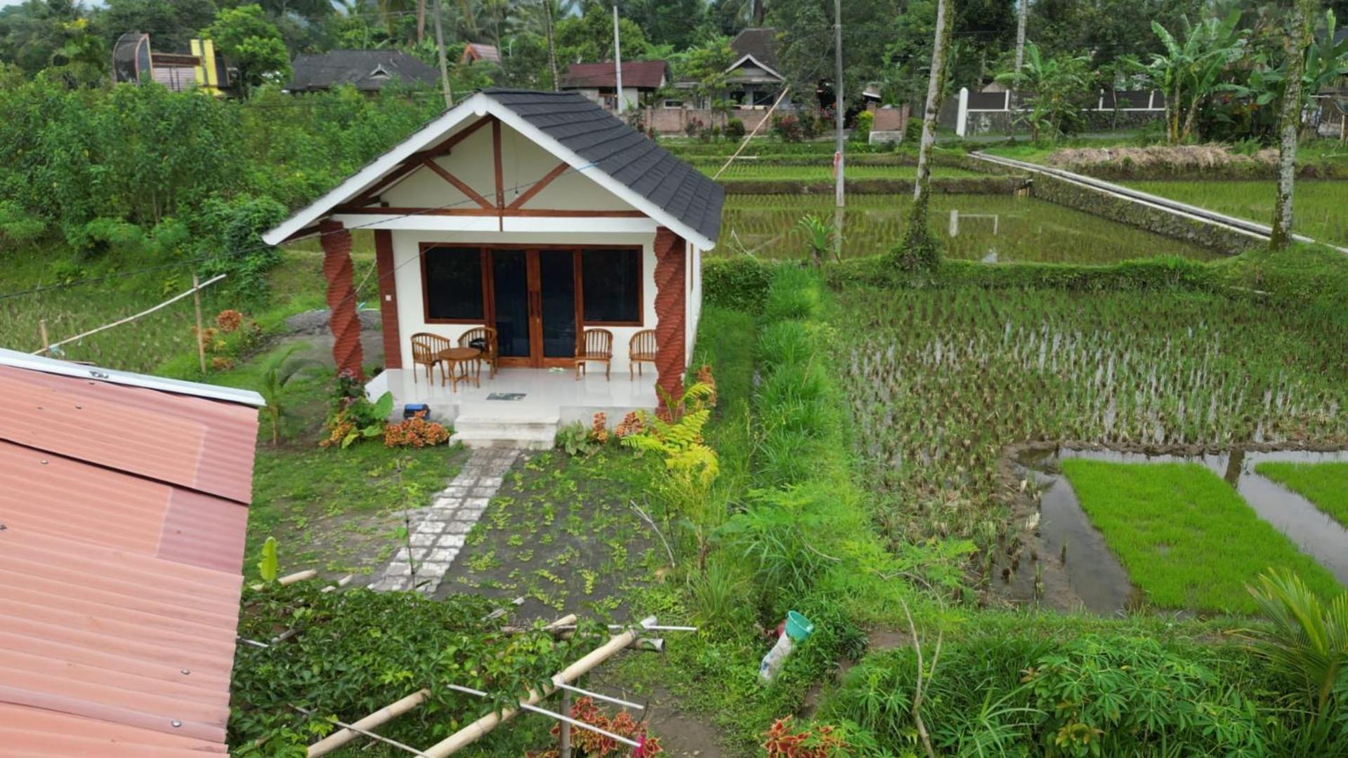 Rice Field Inn - Lombok Тетебату Экстерьер фото