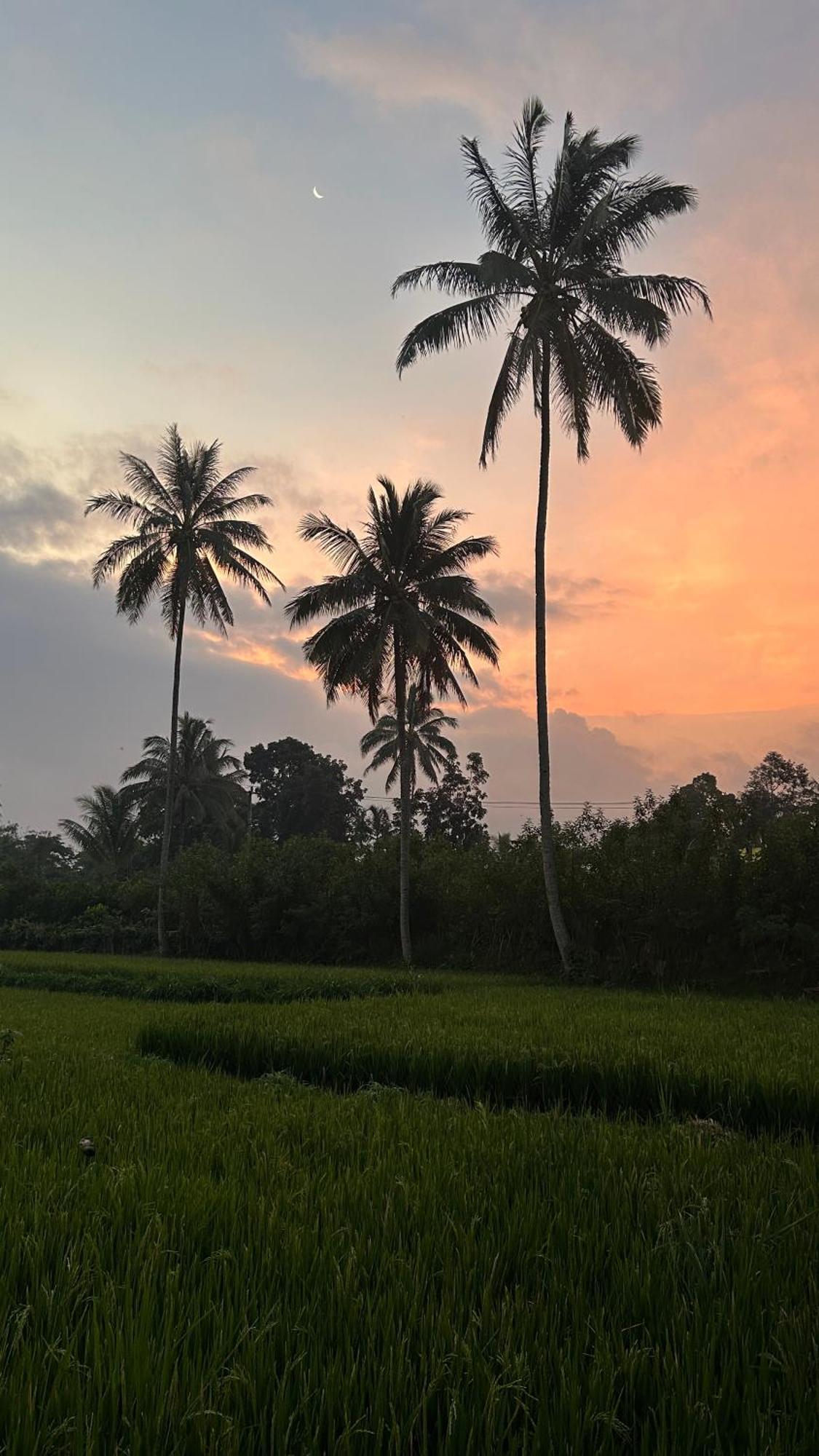 Rice Field Inn - Lombok Тетебату Экстерьер фото