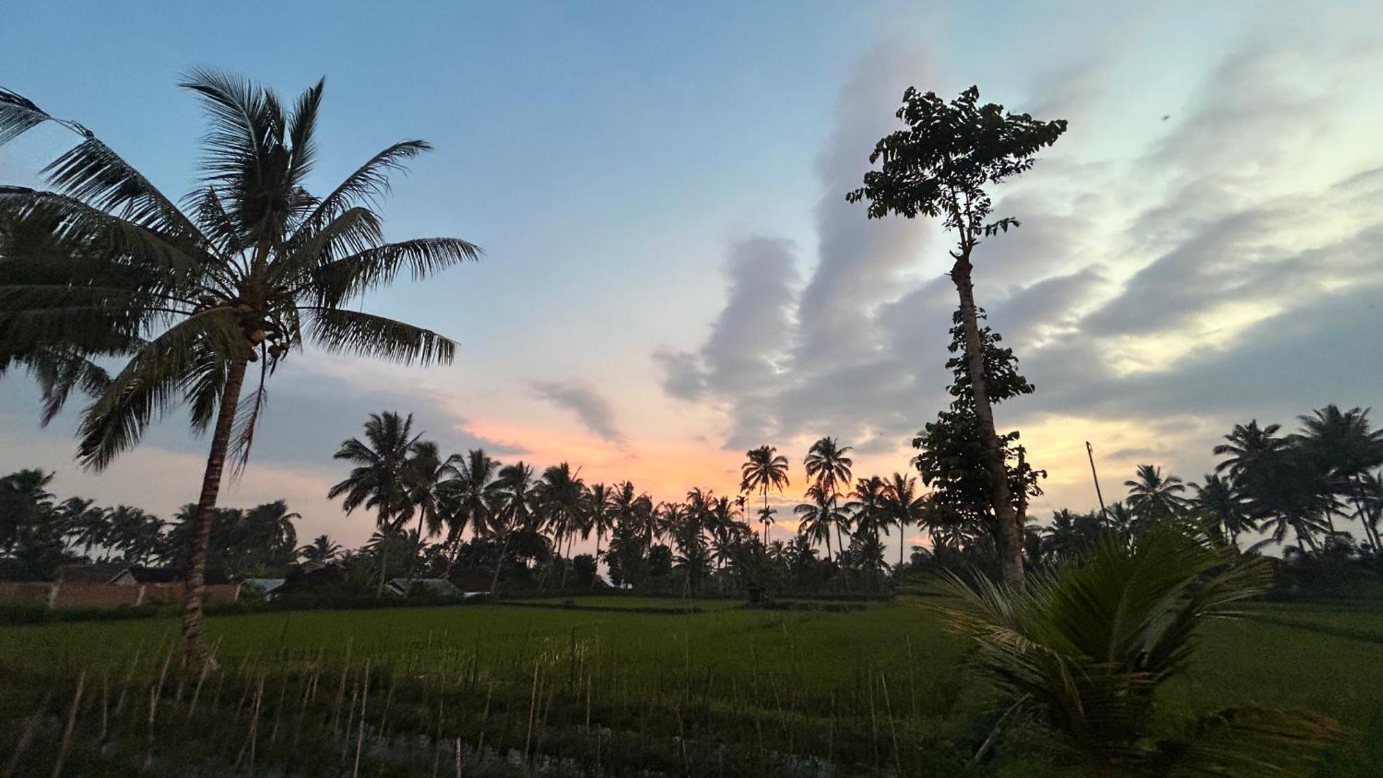 Rice Field Inn - Lombok Тетебату Экстерьер фото